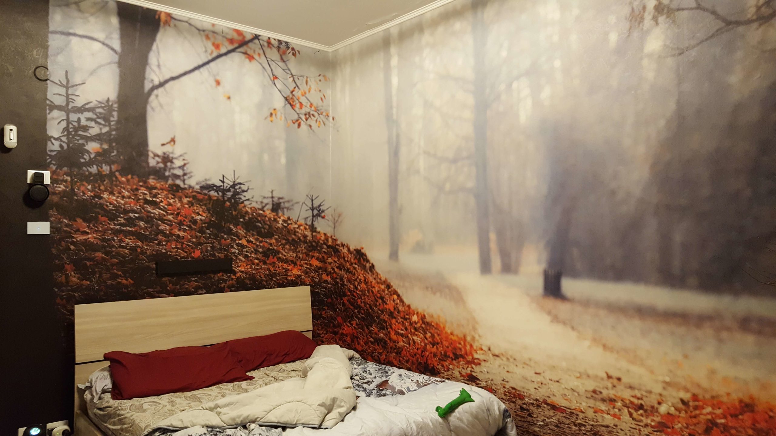 Decorazione Camera da letto con Stampa adesiva Bosco autunno